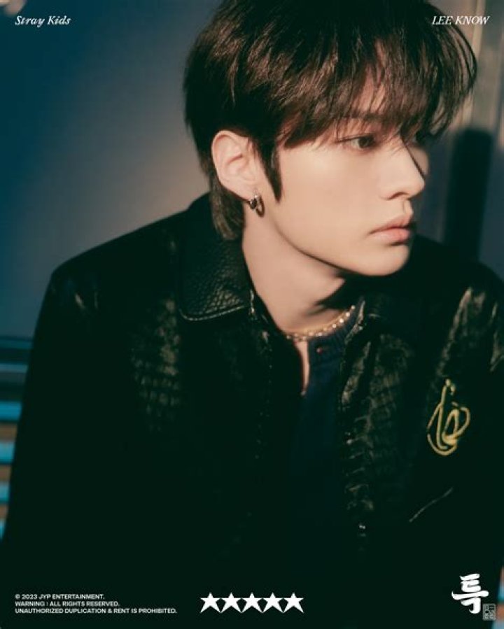 5 best Stray Kids Lee Know hairstyles fans must try