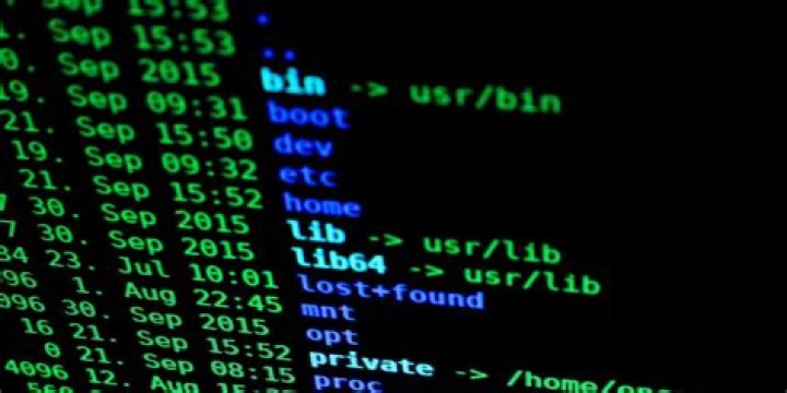 5 Linux Distros Your Should Try in Windows Subsystem for Linux