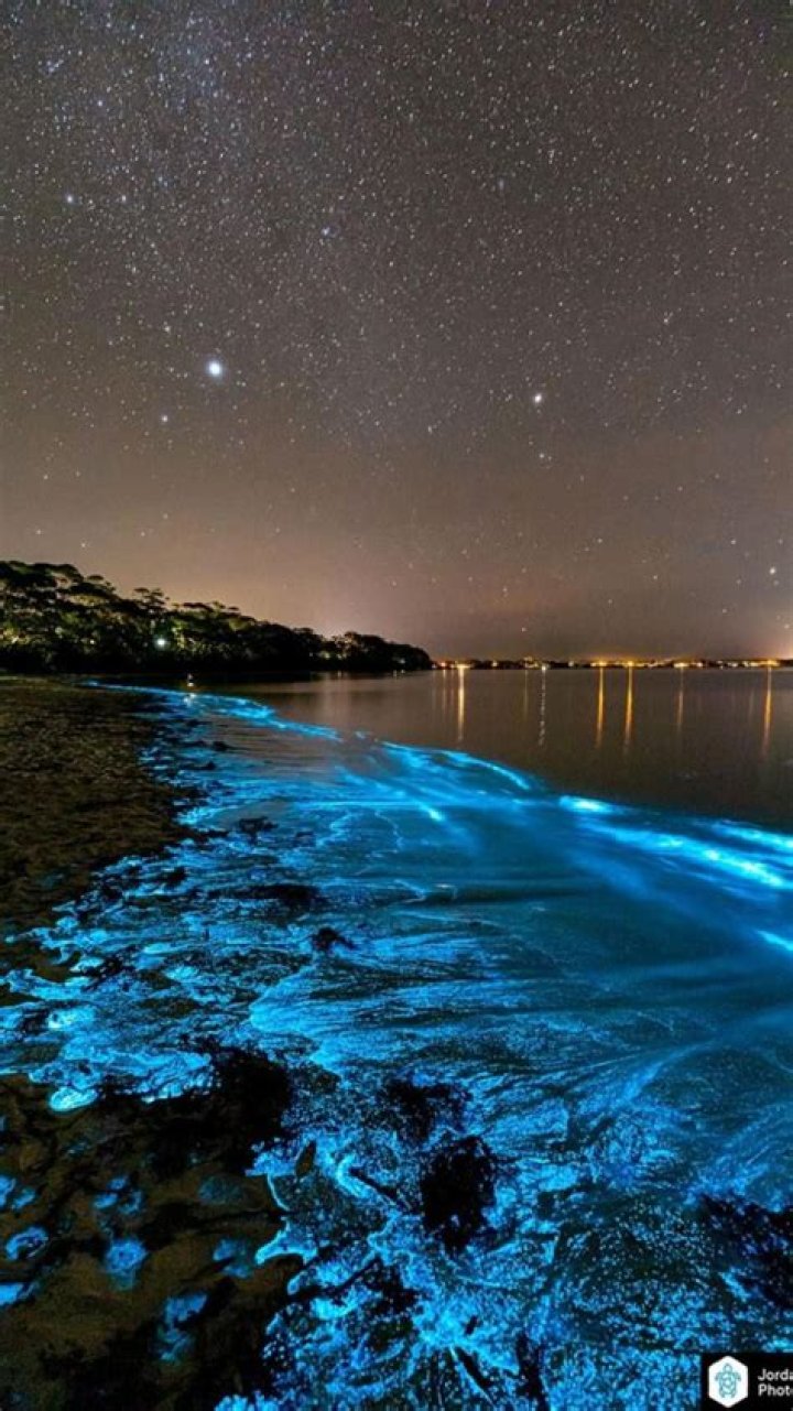 	7 bioluminescent beaches and bays that glow at night	