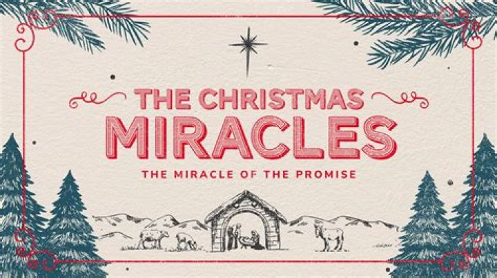 	7 BROTHERS UNITED AGAIN IN CHRISTMAS MIRACLE	