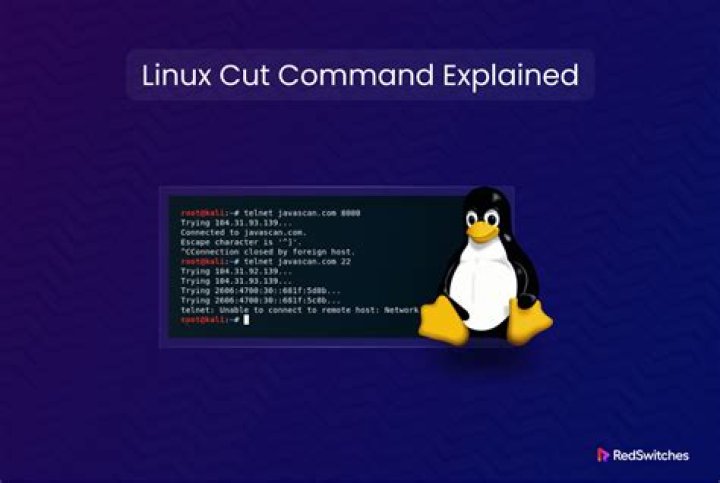 9 Practical Examples of the cut Command in Linux