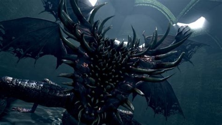 A Guide to Playing Draconic Abomination