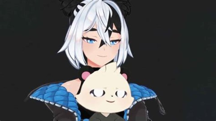 AdmiralBahroo apologizes as Bunny Ayu drama ties VTuber to harassment claims