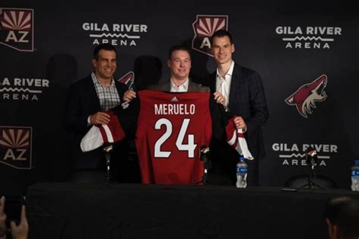 Alex Meruelo Net Worth 2024