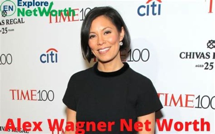 Alex Wagner Net Worth: A Deep Dive Into Her Wealth And Career