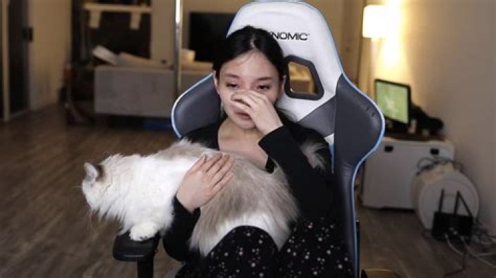 Alinity explains her side of Twitch cat scandal to CodeMiko: 'I deserved the hate'