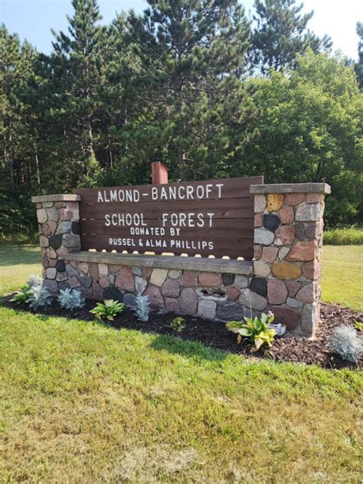 Almond-bancroft Sch District - Wisconsin