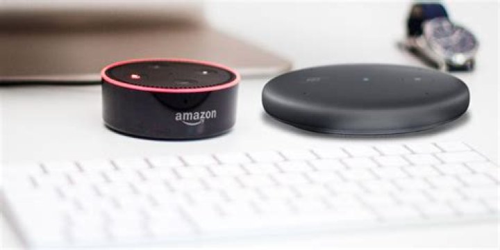 Amazon Echo Input vs. Echo Dot: Speaker or No Speaker?
