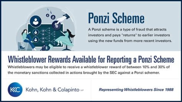 An Internet Famous Ponzi Scheme