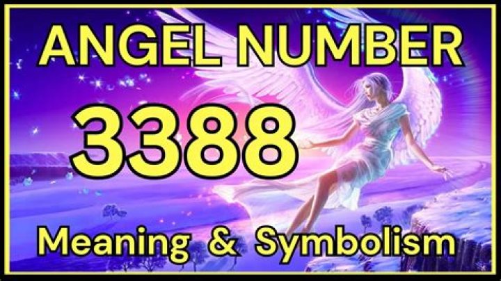 Angel Number 3388 Meaning And Significance
