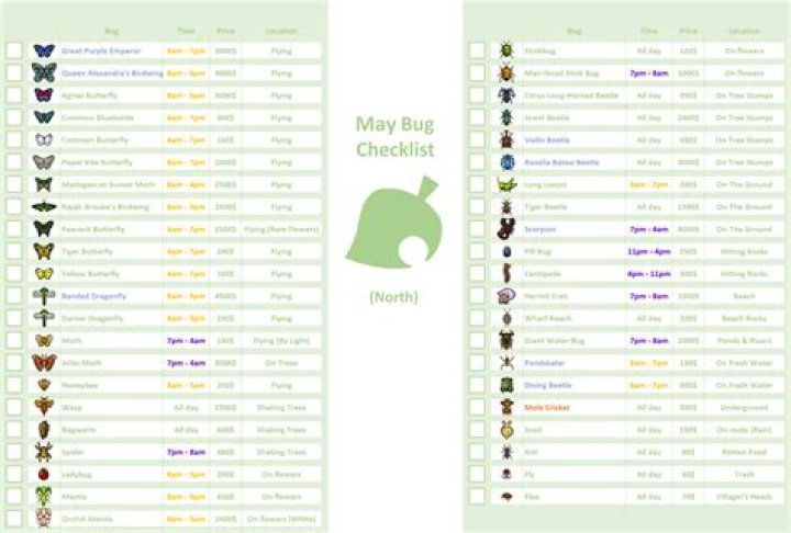 Animal Crossing Fall Bugs Guide