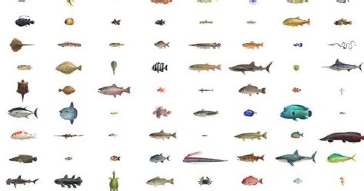 Animal Crossing fish guide and ACNH fish list