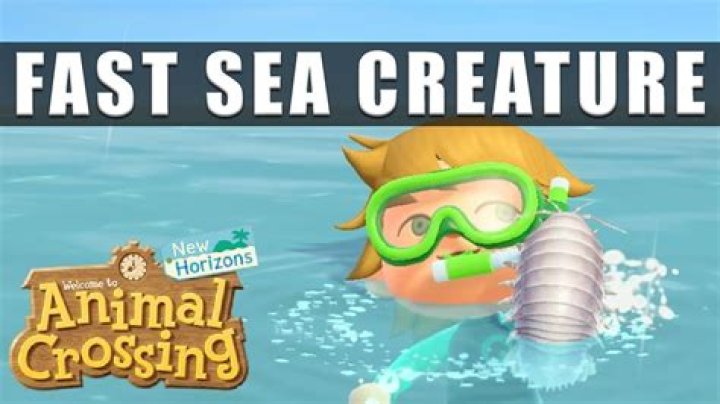 Animal Crossing New Horizons: How to Catch Fast Sea Creatures