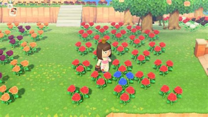 Animal Crossing New Horizons: How to Get Blue Roses