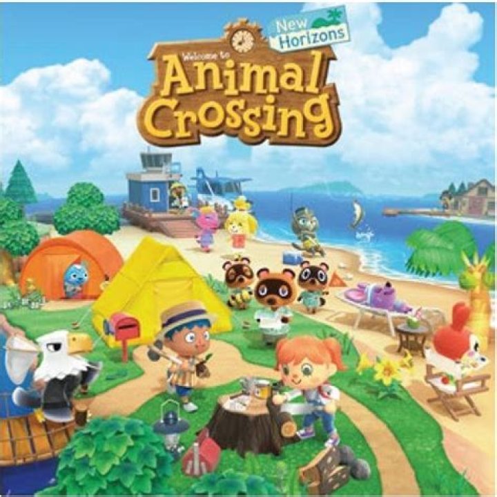 Animal Crossing New Horizons: How to Poop