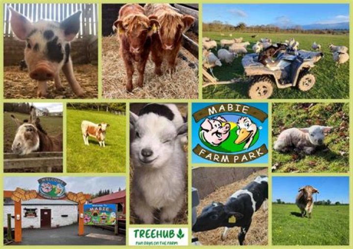 	Animals, Petting Farms & Ranches	