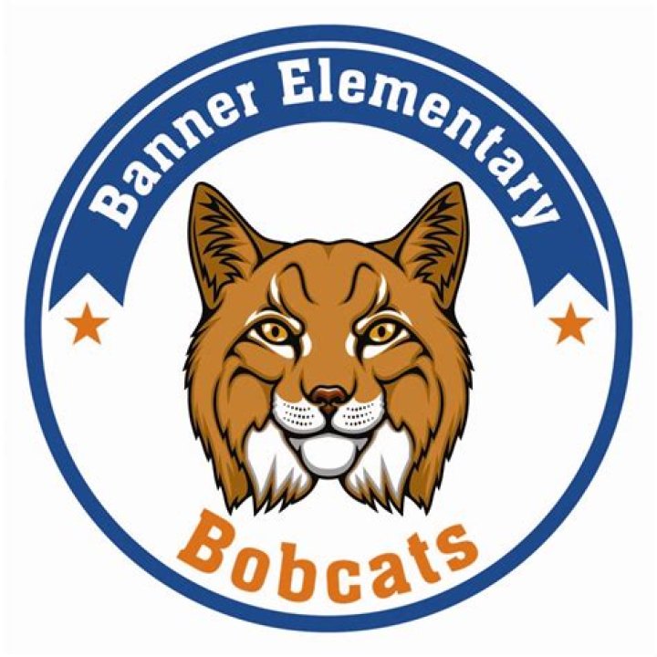 Banner Elementary School District 31 - Oklahoma