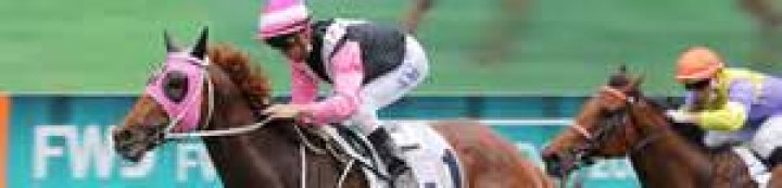BEAUTY JOY (E058) 美麗同享 | Horses | HK Racing