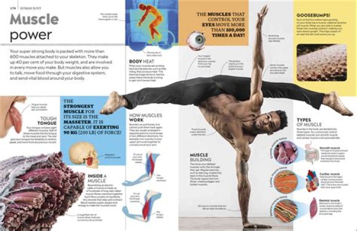 Bnoodle Mag: Your Ultimate Guide To The World Of Digital Magazines
