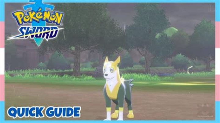 Boltund Pokemon Sword and Shield: Evolution, Location, and Stats