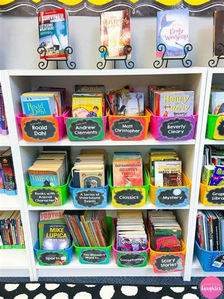 Book Bins to Organize Our Classroom Library!