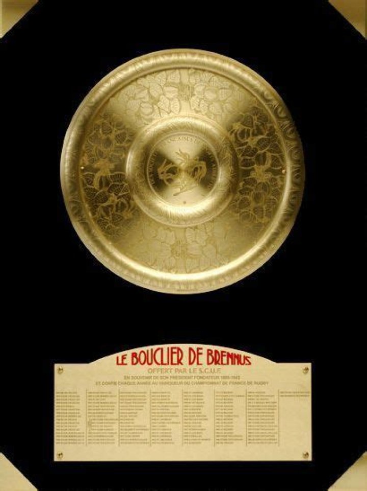 Bouclier De Brennus Poids