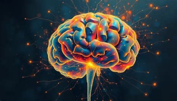 	BRAIN WARP TOPS	