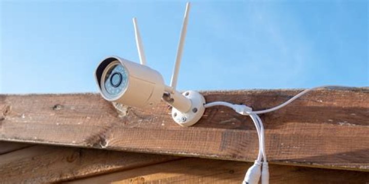 Budget Friendly and Alexa Compatible