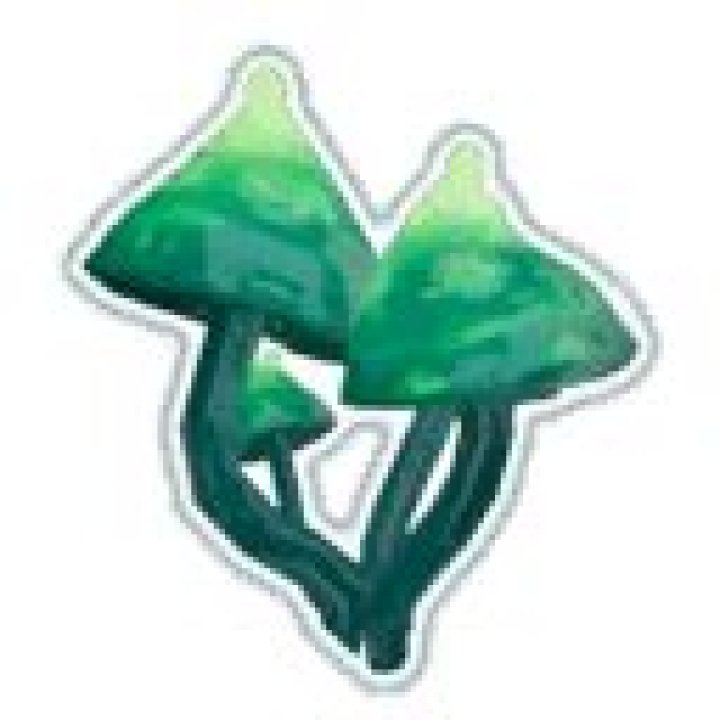 Bustling Fungus Risk of Rain 2: What is It?