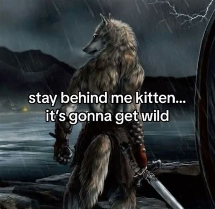 Can You Beat Lone Wolf?