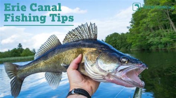 	CANAL FISHING OFFERS VARIETY	