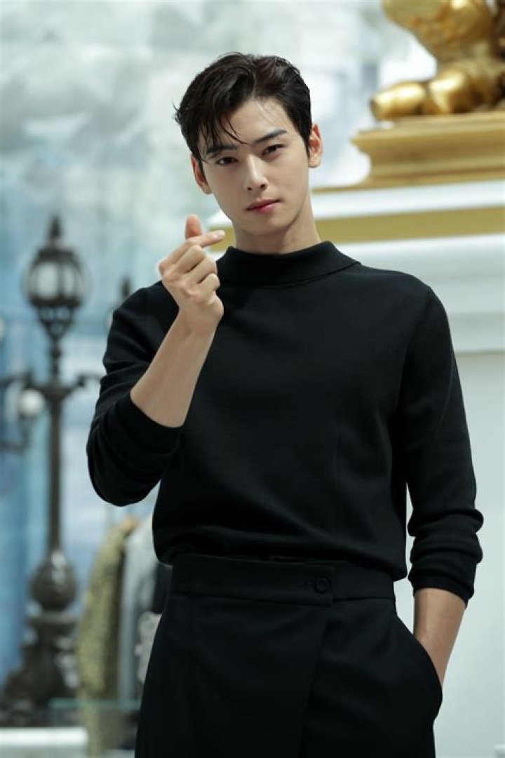 Cha Eunwoo Age: Exploring The Life And Career Of The Star