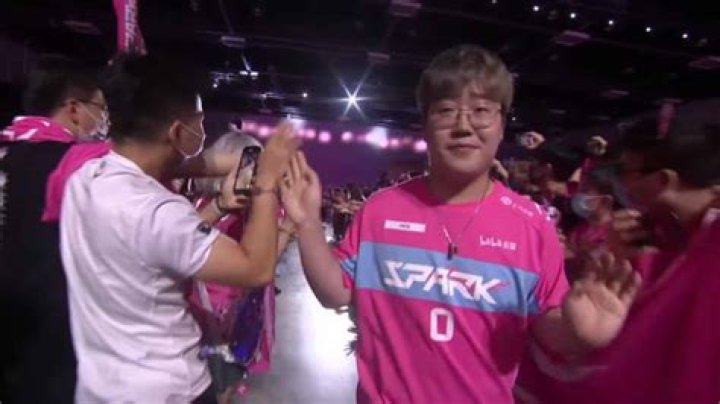 Chinese Overwatch League team fires pro after bullying player in ranked