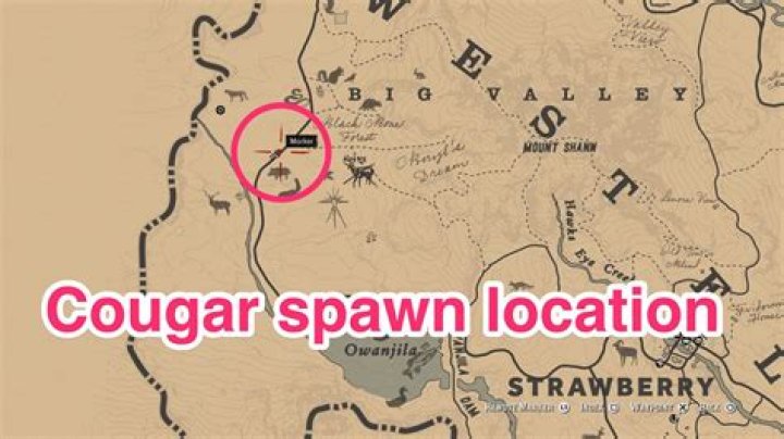 Cougar Spawn Red Dead Redemption 2: Where to Find the Cougar