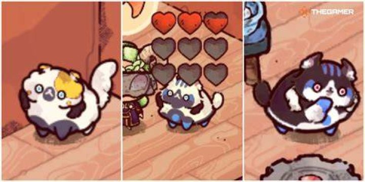 Cozy Grove Gets Free Autumn Update Adding a New Quest, Pets, Songs & More