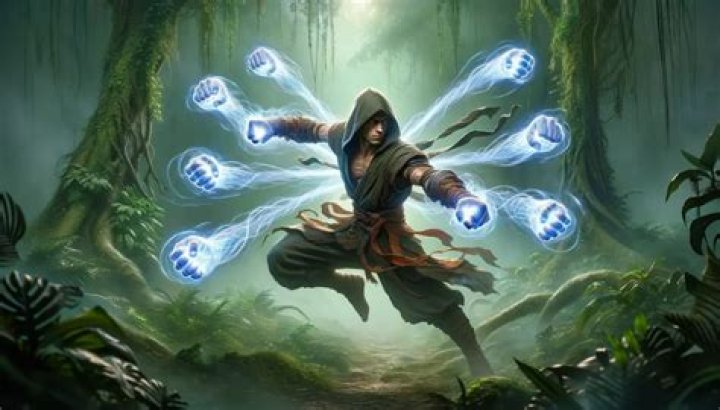 D&D 5E - DPR Monk/Sorcerer build: The Shadow Kensei