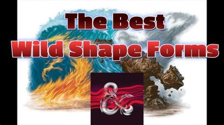 D&D 5E - Druid Class, Wildshape: Which feats are retained when in Wildshape form?
