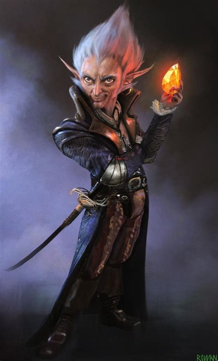 D&D 5E - Gnome Fighter with Partisan