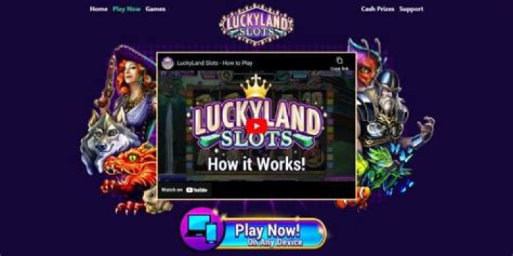 D Lucky Slots Net Worth 2024