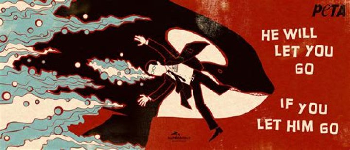 	Death penalty, offensive cartoon and SeaWorld: Letters	