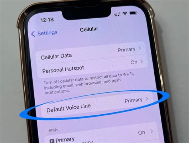 Default primary phone for contact