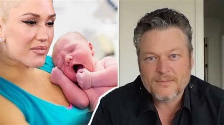 Did Blake Shelton And His Wife Have A Baby? A Complete Update