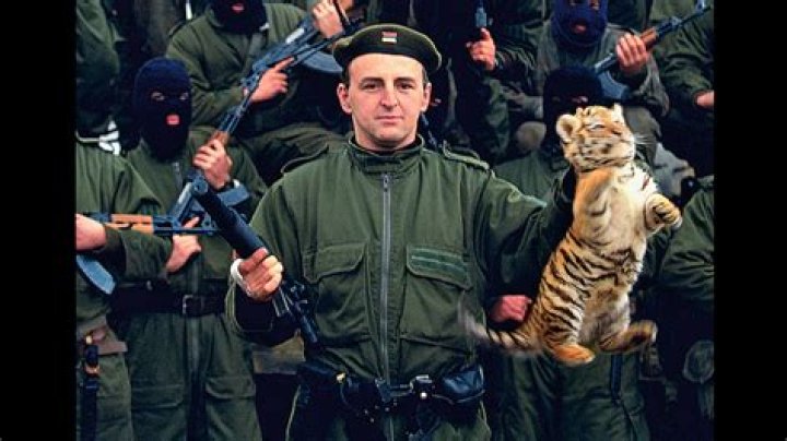 Die Blutspur des Tigers - Wie die Hooligans von Roter… – 11FREUNDE