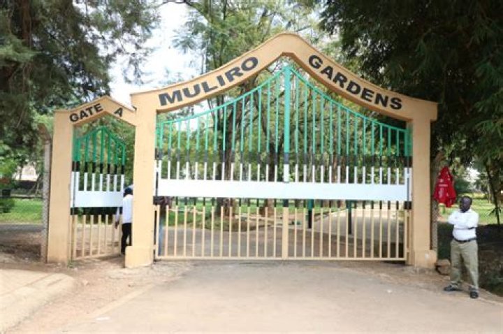 Discovering The Beauty Of Muliro Garden