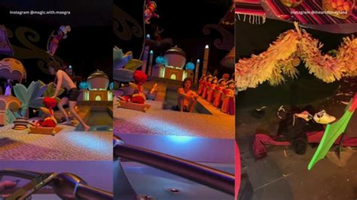 Disneyland streaker arrested after stripping down in ‘It’s a Small World’ ride