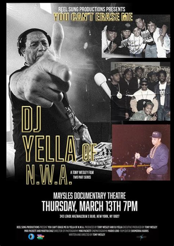 DJ Yella Vermögen