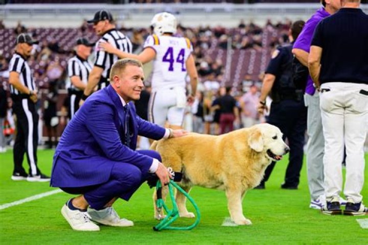 Does Kirk Herbstreit fly private? ESPN College GameDay analyst's extensive travel schedule explored