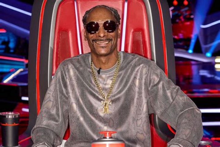 Does Snoop Dogg Have A Felony? A Deep Dive Into His Legal History
