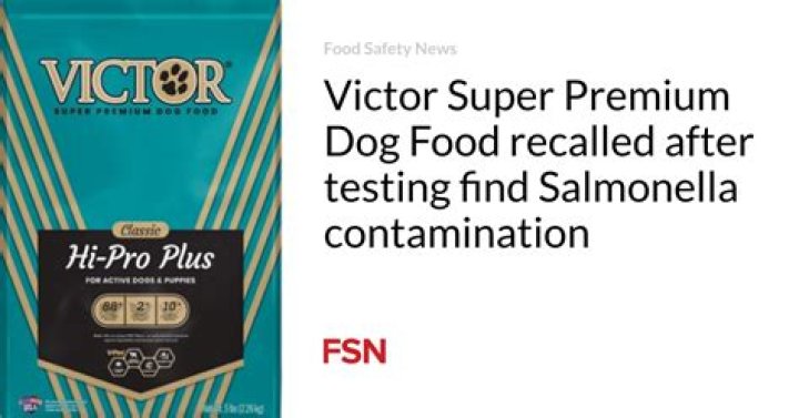Dog food recalled after sample tests positive for salmonella