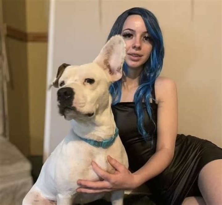 Dog video was outside church |